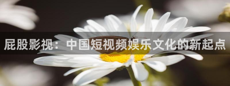南瓜視頻