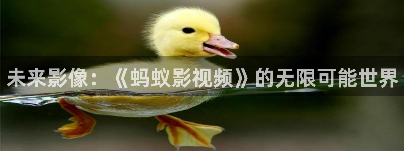 沈陽南瓜：未來影像：《螞蟻影視頻》的無限可能世界