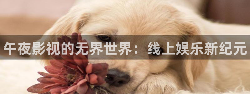 南瓜在線觀看免費全集：午夜影視的無界世界：線上娛樂新紀元